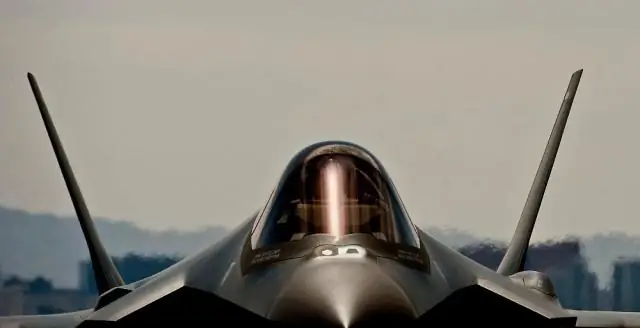 Карта медуз может стать будущим для защиты вод и рыбы в Великобритании