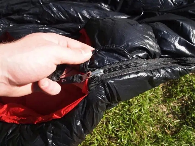 Перья: лучше липучки? Инженеры подробно описывают свойства птичьих перьев, которые могут привести к улучшению клеев (и аэрокосмических материалов)