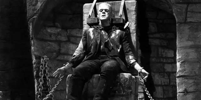 Ученые случайно создали мышей с необычно короткими и длинными хвостами