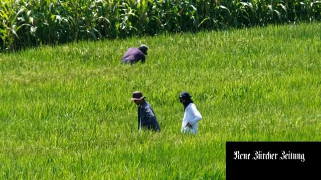 Может ли критик, ставший верующим, повлиять на других? Дело о генетически модифицированных продуктах