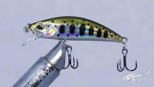 Размер имеет значение: для живородящих рыб большие плавники имеют большое значение: самки любят самцов с большими спинными плавниками, но придатки сначала развились для самцов, чтобы сражаться с други