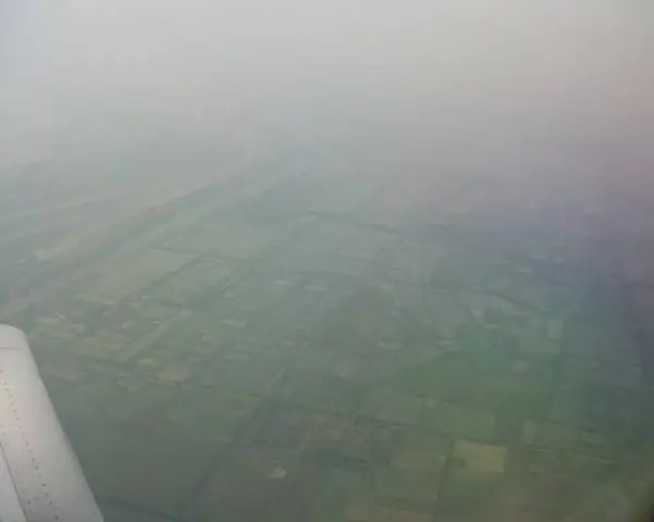 Раскрытие тайны 58-летнего гена кукурузы может иметь последствия для селекции растений