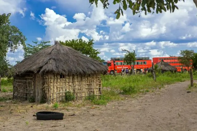 Разнообразие сельского населения Африки распространяется на их микробиомы