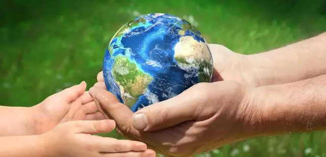 Новое значение гаммагерпесвирусной и морбилливирусной инфекций у кошек