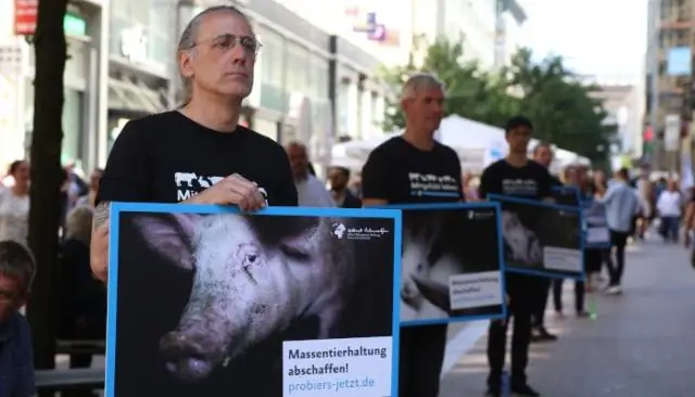 «Тихое проскальзывание» вдоль линии разлома служит прелюдией к сильным землетрясениям, показывают исследования