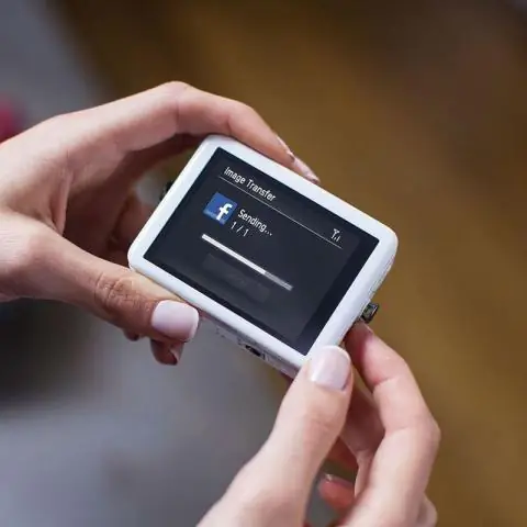 Уникальная камера позволяет исследователям видеть мир глазами птиц