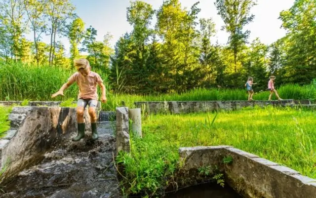 Известная уродливая волна, воссозданная в лабораторных зеркалах, повторяет «Великую волну» Хокусая