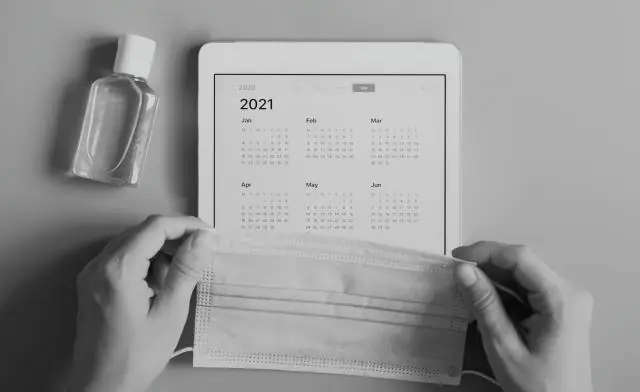 Внимательный взгляд на специфические пищевые привычки территориальных ласточек раскрывает стратегии сосуществования без конкуренции