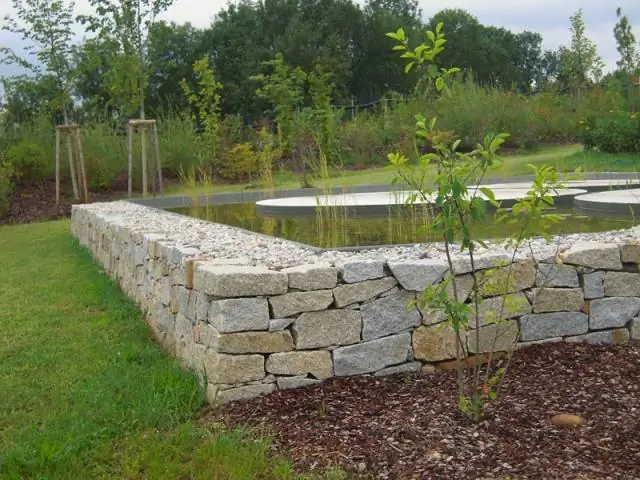 Без управления средой обитания небольшие земельные участки не защищают птиц