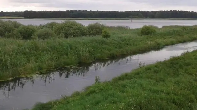 Выявление факторов, влияющих на уровень содержания ртути в тунце