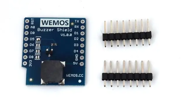 Двойной контроль: растительный пептидный гормон создает различные клеточные структуры для потока воды