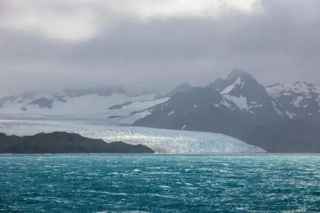 Ледяной прогноз популяции кольчатой нерпы: новая математическая модель показывает резкое сокращение популяции кольчатой нерпы из-за прогнозируемого малоснежья