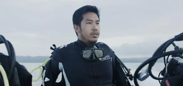 Переломный момент изменения климата может наступить раньше, чем мы думаем: растительность, возможно, не сможет продолжать смягчать последствия выбросов в результате деятельности человека