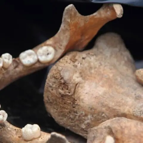 Ученые реконструируют древние утраченные плиты под Андами: реконструкция дает представление о том, как Земля выглядела миллионы лет назад