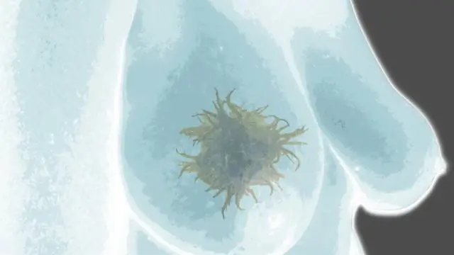 CRISPR/Cas9 используется для контроля генетического наследования у мышей: технология предлагает новые мощные генетические инструменты для исследования болезней человека у грызунов