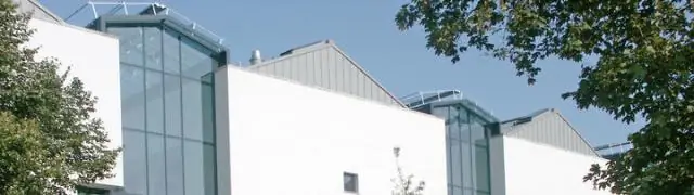 Ученые решают проблемы размножения крыс, ищущих наземные мины