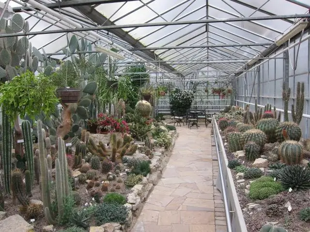 Целый ботанический сад геномов