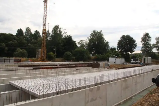 Огромный шаг вперед в расшифровке геномов мелких видов: новая методика позволила получить первый высококачественный полный геном одного комара