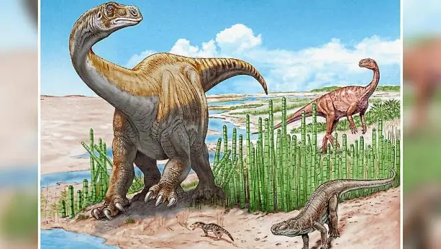 Длинношеие динозавры вращали передними лапами в стороны: Ученые исследовали следы зауроподов