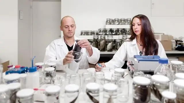 Как факторы транскрипции исследуют геном