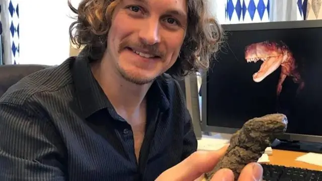 Смок возрастом 210 миллионов лет ломал кости, как гиена