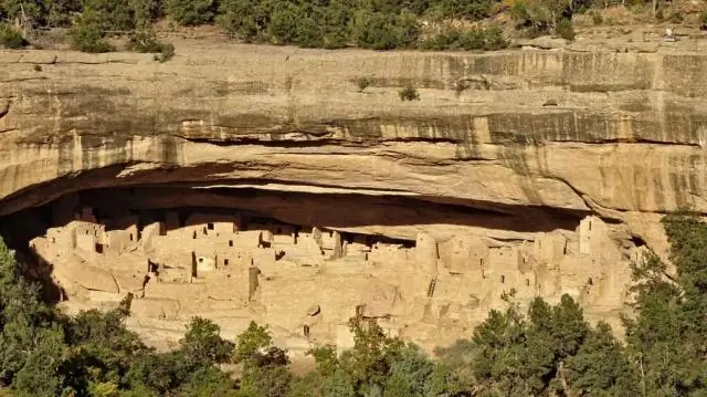 Некогда многочисленным морским звездам угрожают болезни вдоль западного побережья: некоторые из крупнейших звезд океана пострадали от болезней и изменения климата