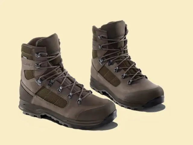 Безмембранные протоклетки могут дать ключ к пониманию формирования ранней жизни