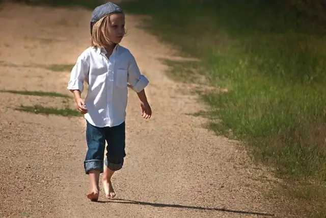 Рыбы и люди похожи в восприятии визуальных стимулов