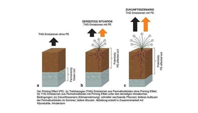 Ранний весенний дождь увеличивает выброс метана в результате таяния вечной мерзлоты на 30 процентов