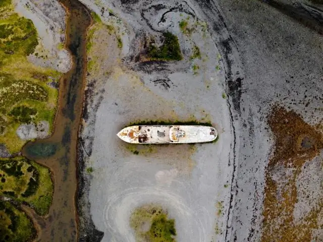 Жара и отсутствие продовольственной безопасности из-за изменения климата могут ослабить иммунную систему: перегретые мыши не защищаются от гриппа в лабораторных исследованиях