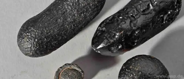 Выявлено более 800 новых участков генома, которые могут иметь отношение к эволюции человека