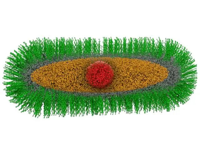 Лучший способ измерить выживаемость клеток: новый тест быстро оценивает влияние лекарств и потенциально токсичных соединений на клетки