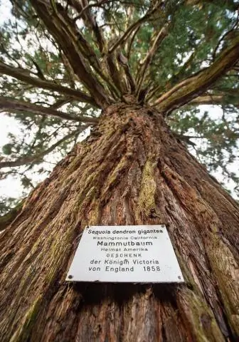 Выжившие в ледниковом периоде или застрявшие путешественники? В Канаде обнаружен новый подземный вид