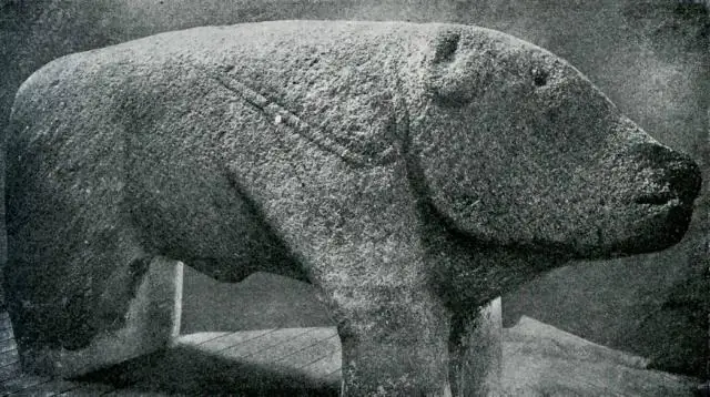 Доисторическая глобализация продуктов питания длилась три тысячелетия: крестьяне-фермеры начали менять рацион питания по всему Старому Свету 7000 лет назад, показало исследование