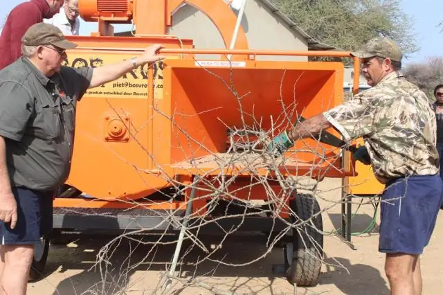 «Сумеречная зона» может помочь сохранить мелководные рифы