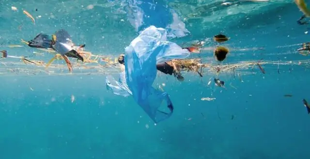 Миллионы тонн пластиковых отходов могут быть превращены в чистое топливо и другие продукты: процесс химической конверсии может преобразовать отходы полиолефинов