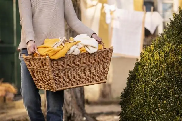 Как ландшафтные растения влияют на углеродный след: виды деятельности и вклады в производство ландшафтных растений, которые можно модифицировать для уменьшения углеродного следа