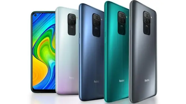 Биологи отвечают на фундаментальный вопрос о размере клеток: за поразительной однородностью размеров стоит необходимость производить нужное количество белка