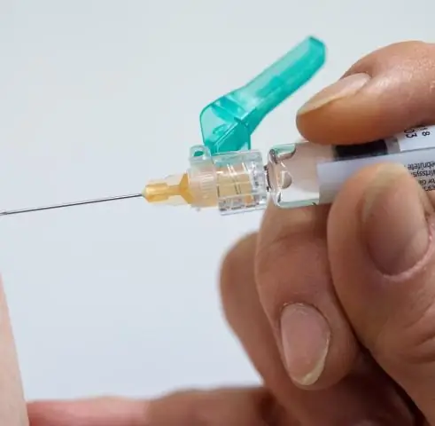 Почему азиатские лошади не болеют гриппом