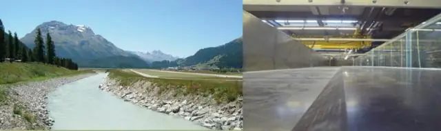 Физическая модель формирования паттернов пыльцы