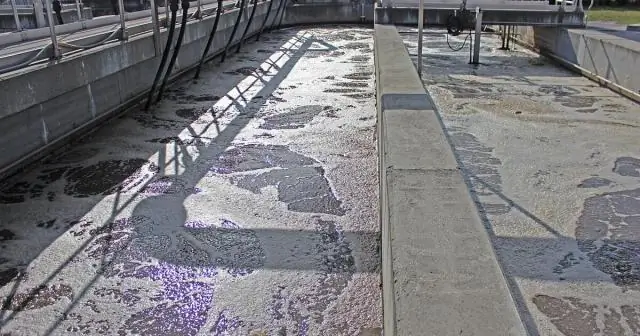 Ученые обнаружили гены, которые помогают вредным бактериям препятствовать лечению: два гена могут сделать стафилококковые инфекции устойчивыми к меди, мощному антибактериальному агенту