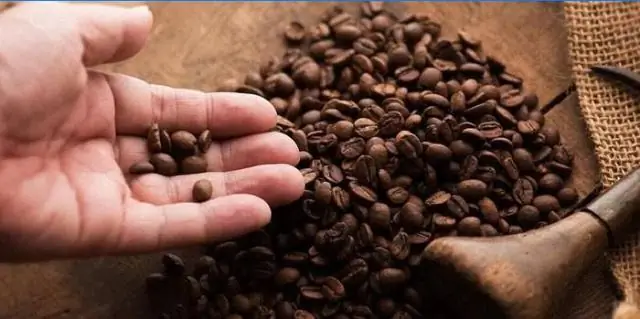 Новые виды тарантулов из Анголы отличаются уникальным «рогом» на спине