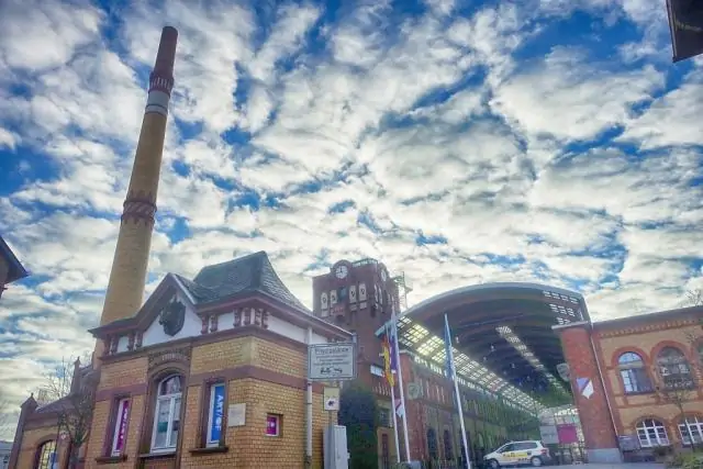 Древние окаменелые следы указывают на то, что многоклеточная жизнь намного старше, чем считалось ранее