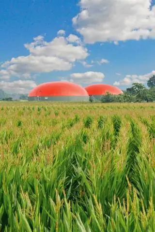 Стресс для сельскохозяйственных культур показывает удивительные преимущества