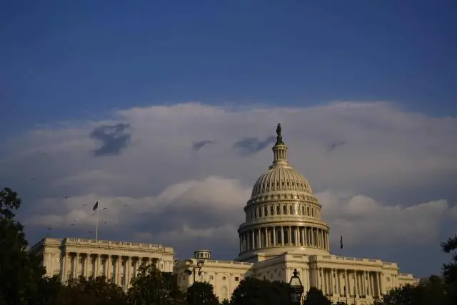 Лесные пожары как возможность для восстановления экосистемы: восстановление окружающей среды после лесного пожара может позволить восстановить утраченные природные ценности