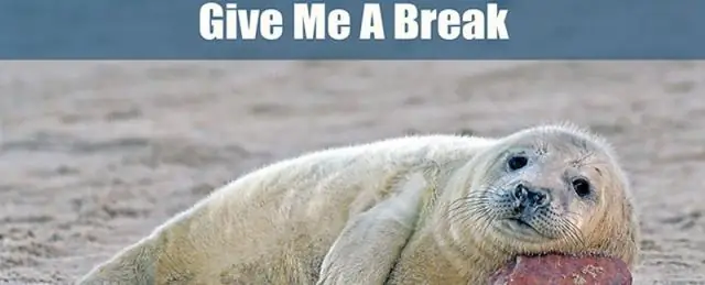 Правила рыболовства и загрязнения окружающей среды не помогают кораллам справиться с изменением климата: новое исследование предлагает другой подход к защите кораллов, строящих рифы