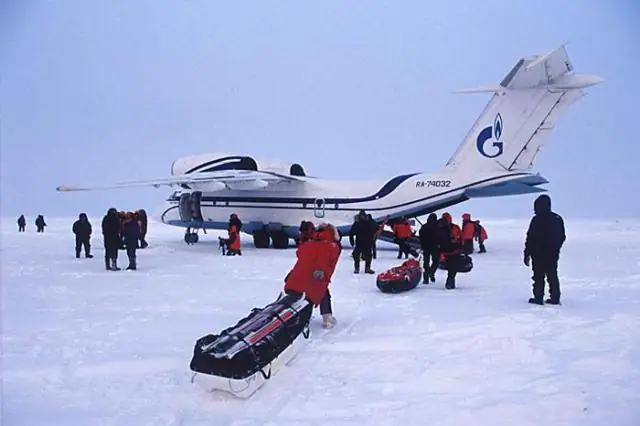 Сумчатые жили среди арктических динозавров
