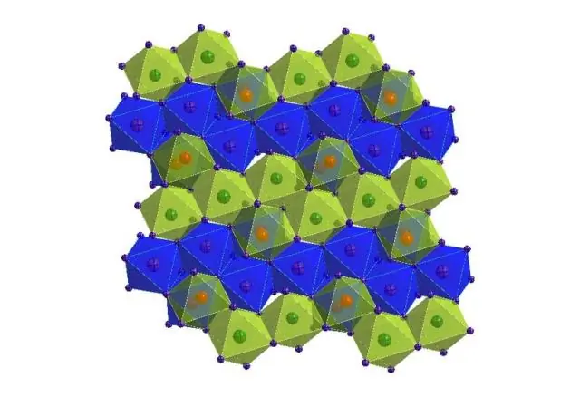 Ученые разгадывают тайну рыбы по имени «непорочное» рождение Марии