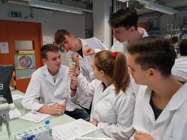 Генетический план необычного гриба, пожирающего древесину