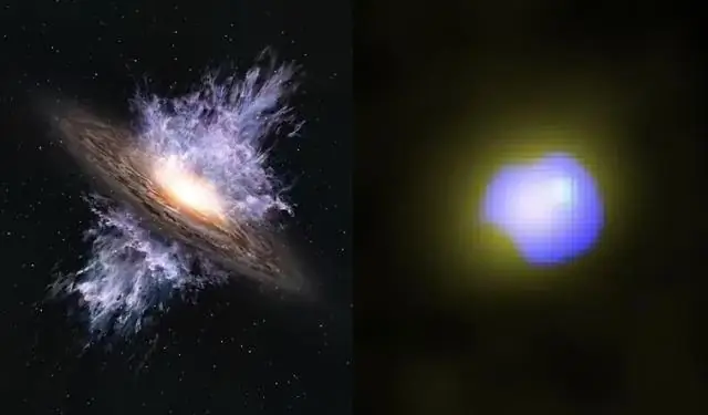 Ученые обнаружили самый ранний пример совместного использования гнезда животными